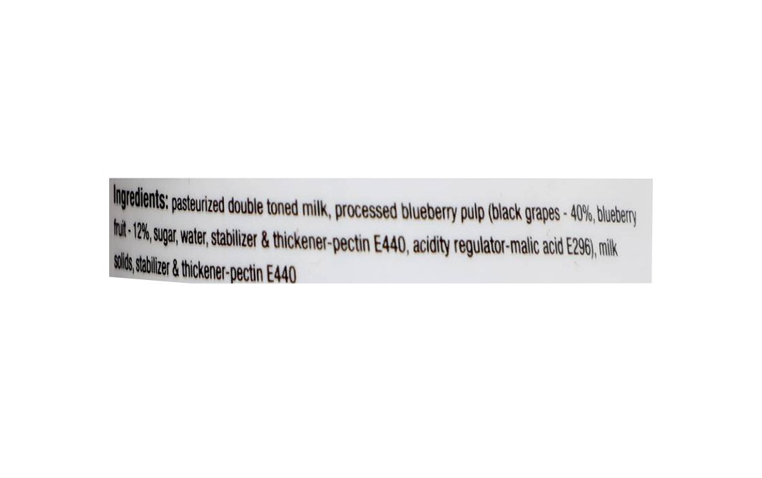 Epigamia Greek Yogurt Blueberry   Tub  90 grams